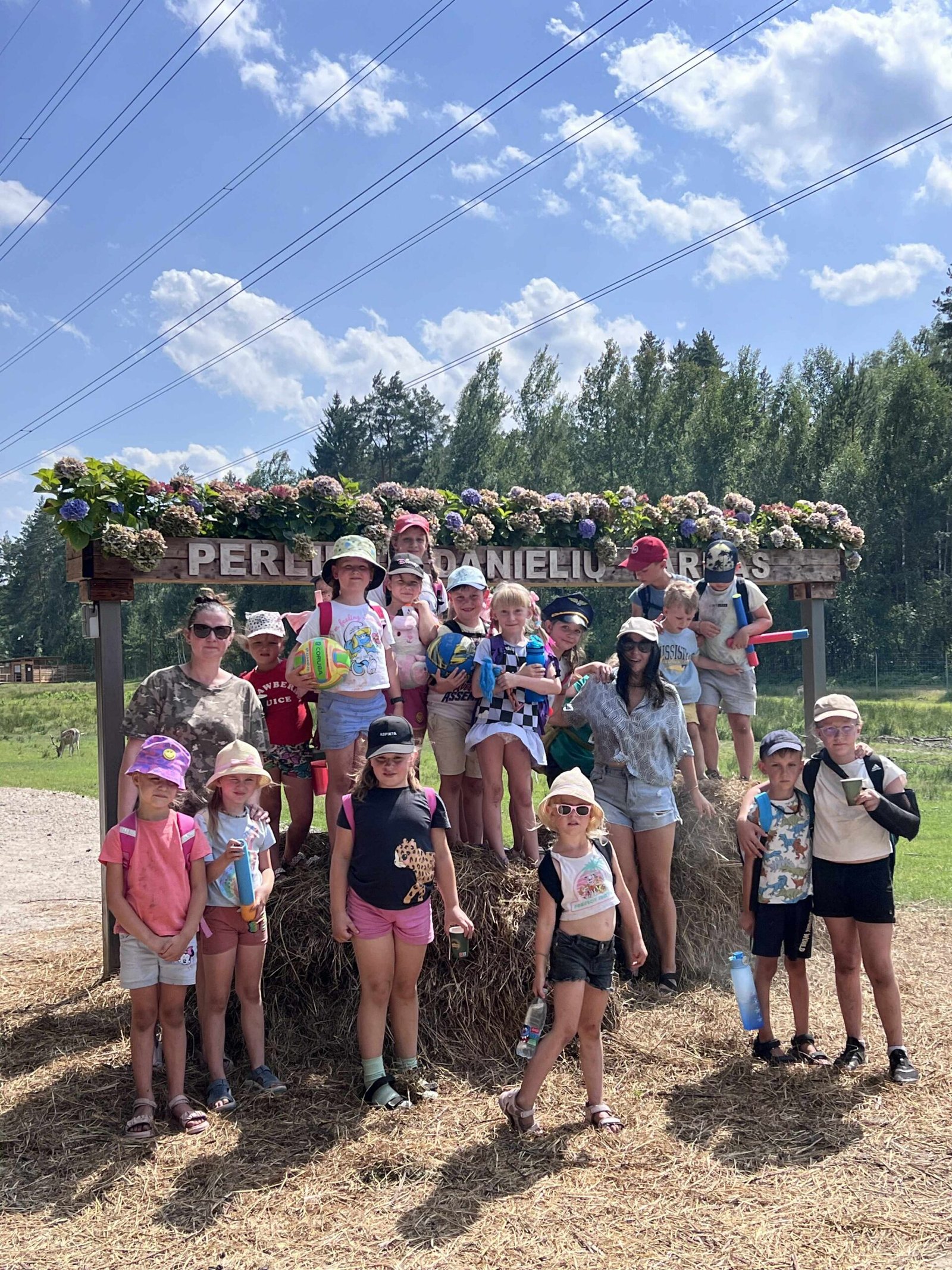 a44b0dcb-2333-4f77-87d6-d1461d6912c5